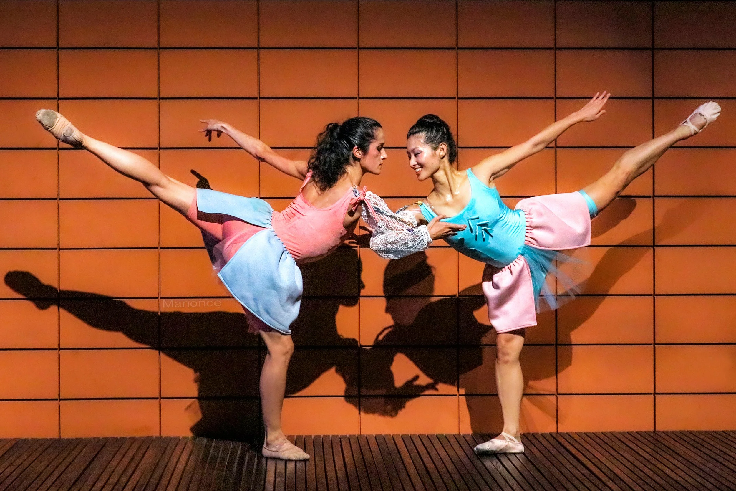 Sakura — JapanCultureNYC